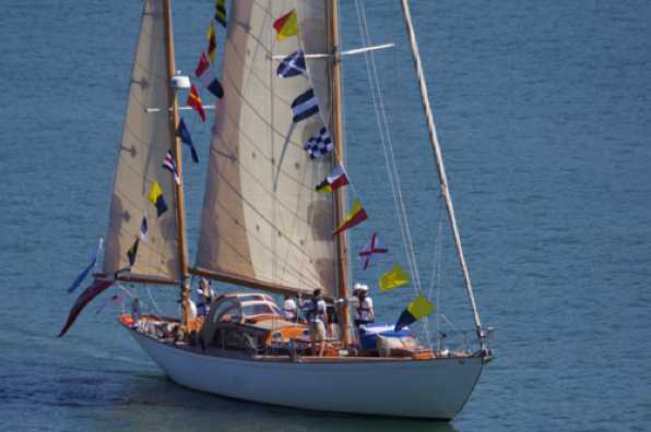 10 July 2022 - 10-52-54

----------------------
Classic Channel Regatta 2022 Parade of Sail